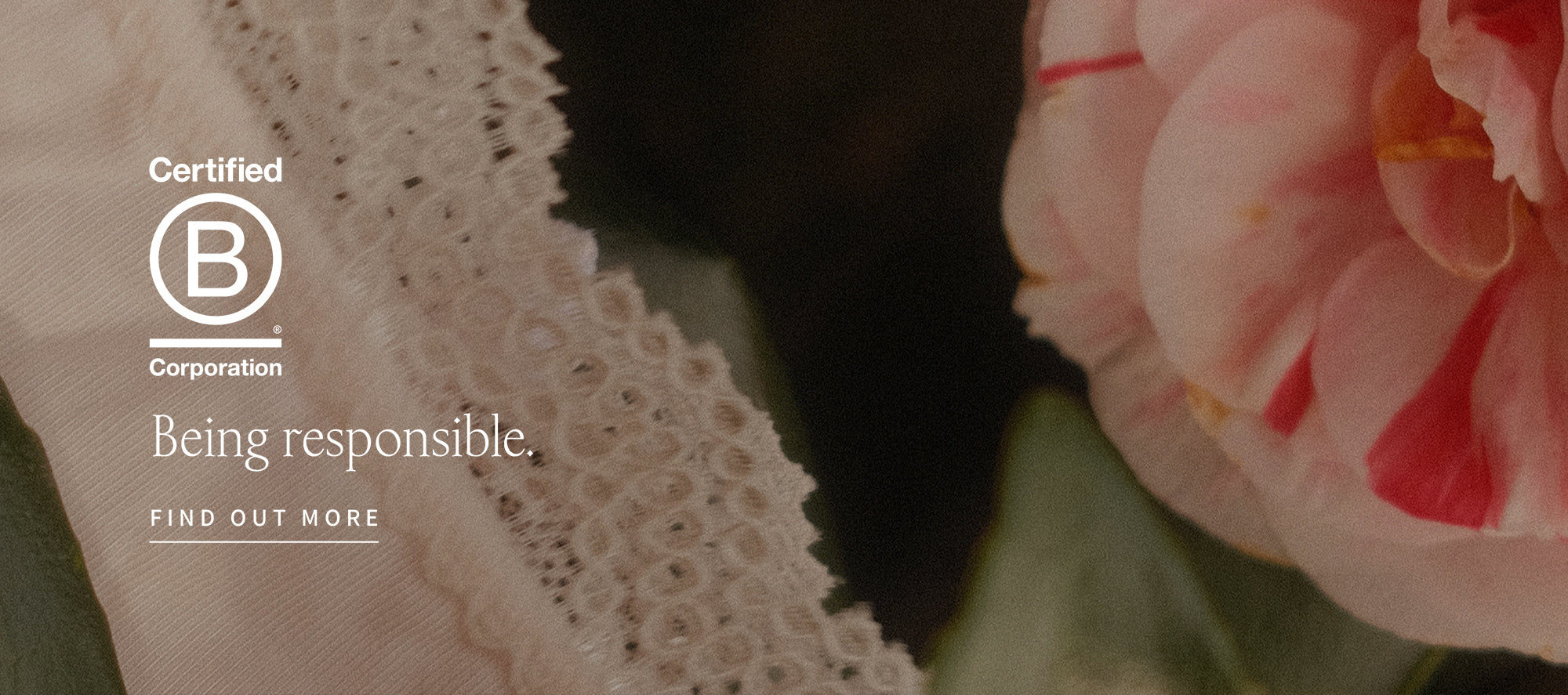 Stripe & Stare USA banner