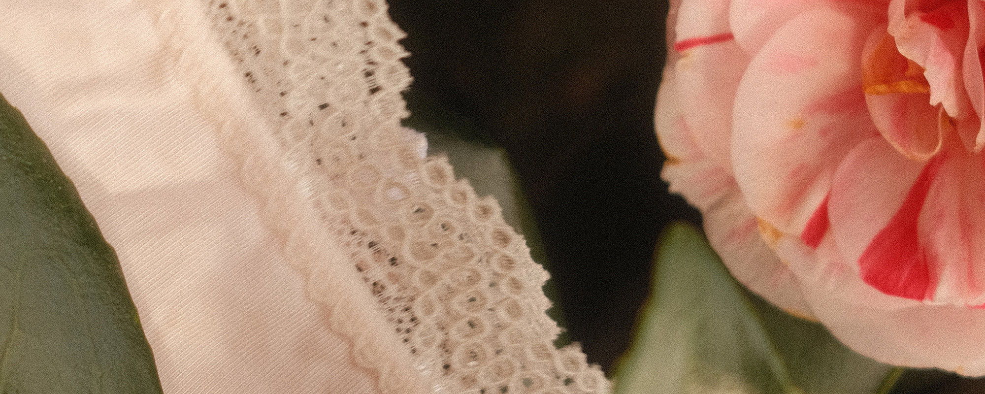 Stripe & Stare USA banner