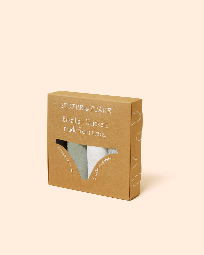 Brazilian Brief Four Pack - Basics Charming Garment Enterprises Co