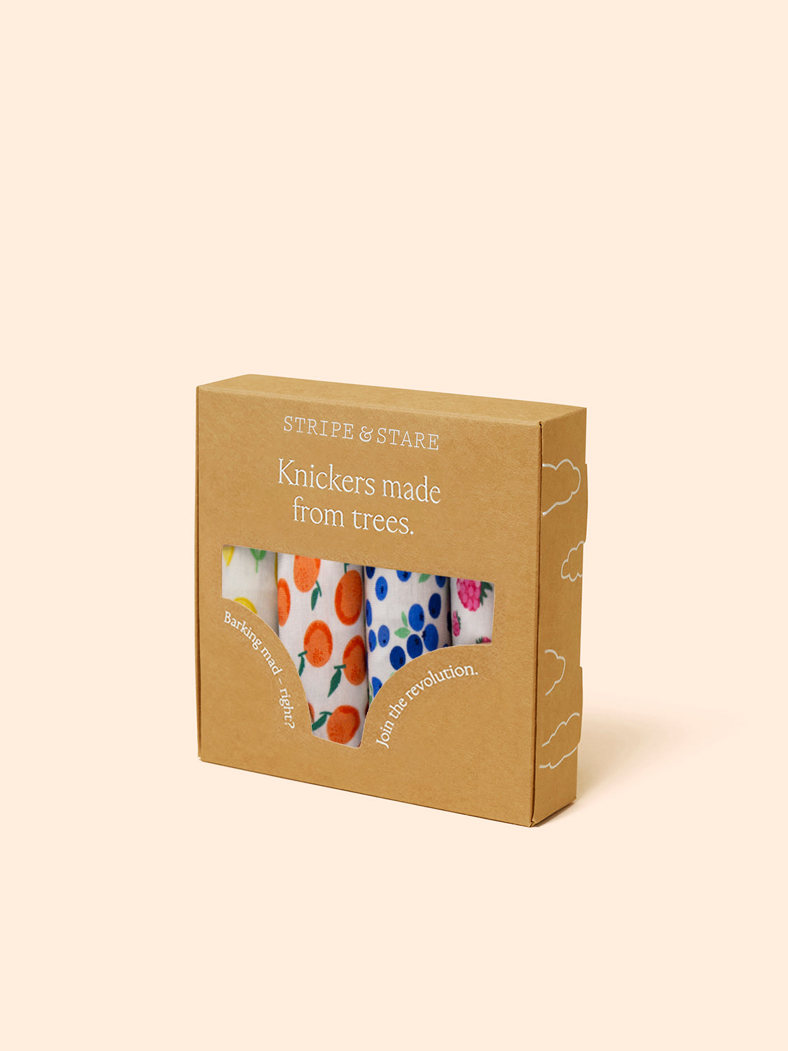 Emily English X S&S Original Brief Four Pack - Fruit Smoothie Charming Garment Enterprises Co