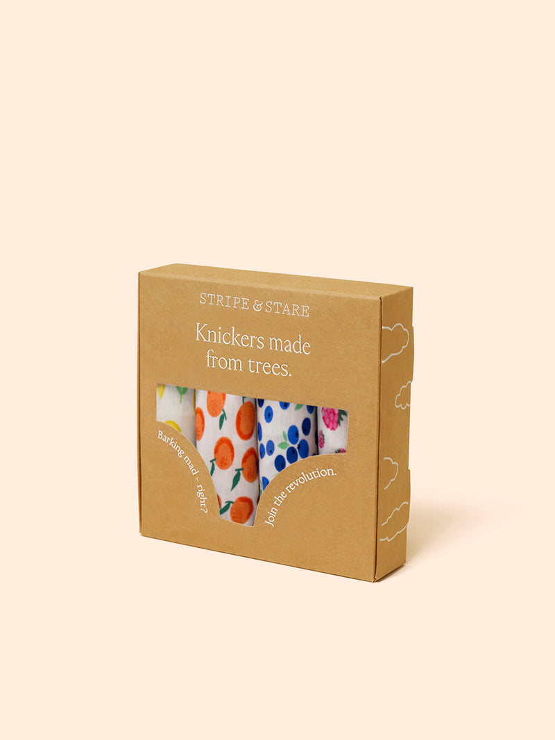 Emily English X S&S Original Brief Four Pack - Fruit Smoothie Charming Garment Enterprises Co