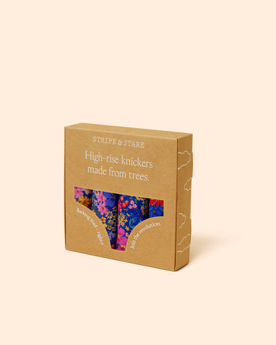 High Rise Brief Four Pack - Full Bloom Stripe & Stare