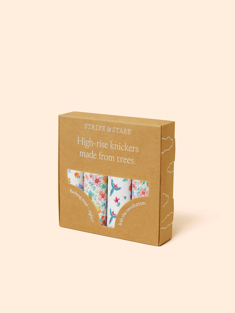 High Rise Brief Four Pack - Paradise Found