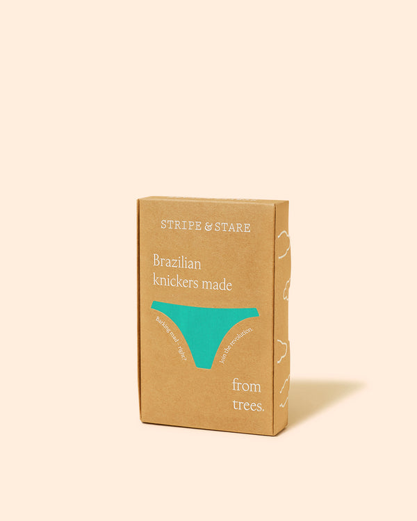 Brazilian Brief  - Neon Mint Stripe & Stare