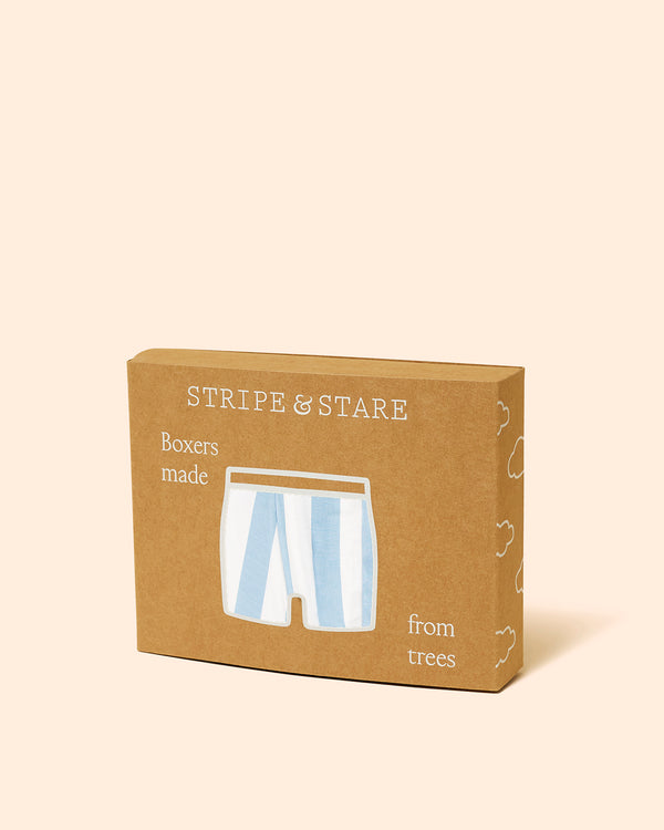 Unisex Boxer - Pale Blue Holiday Stripe Stripe & Stare