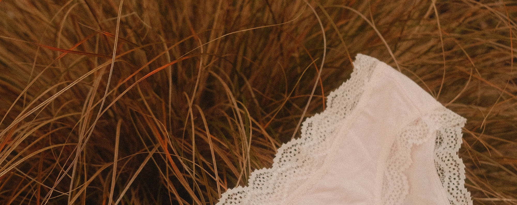 Stripe & Stare USA banner