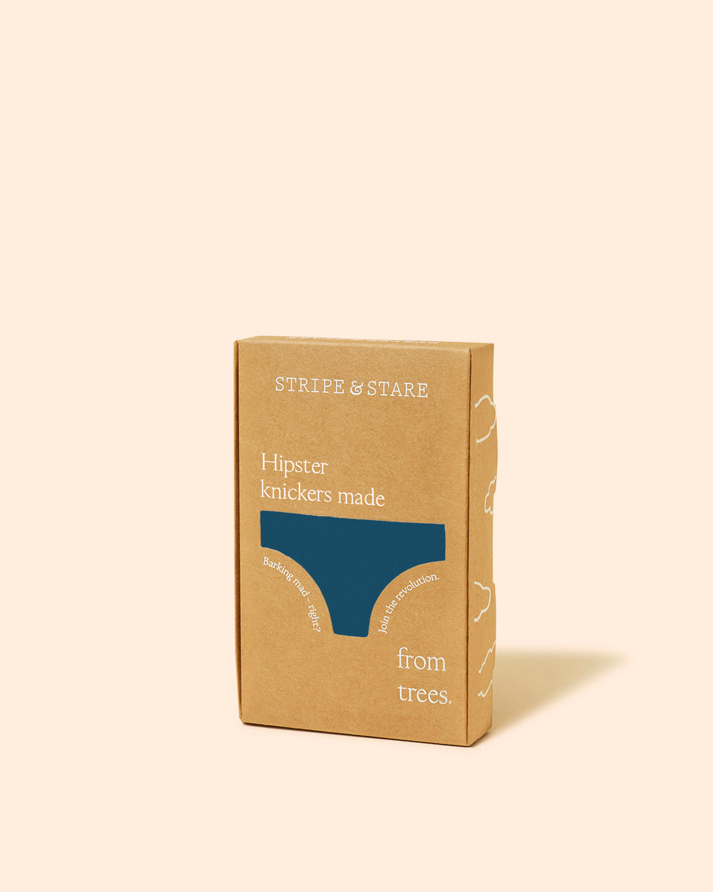 Hipster Brief - Teal Stripe & Stare