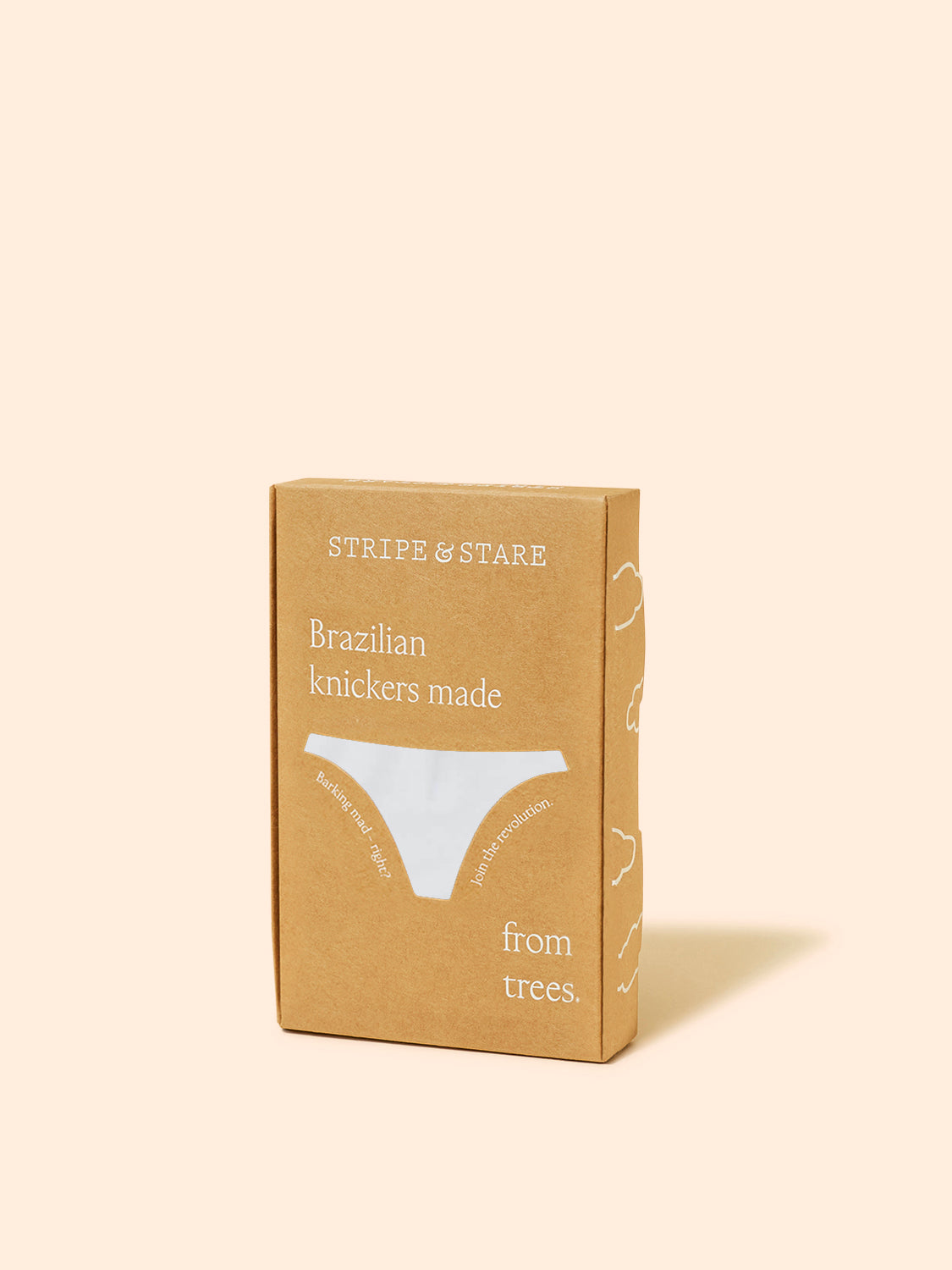 ZigZag Lace Brazilian Brief - White