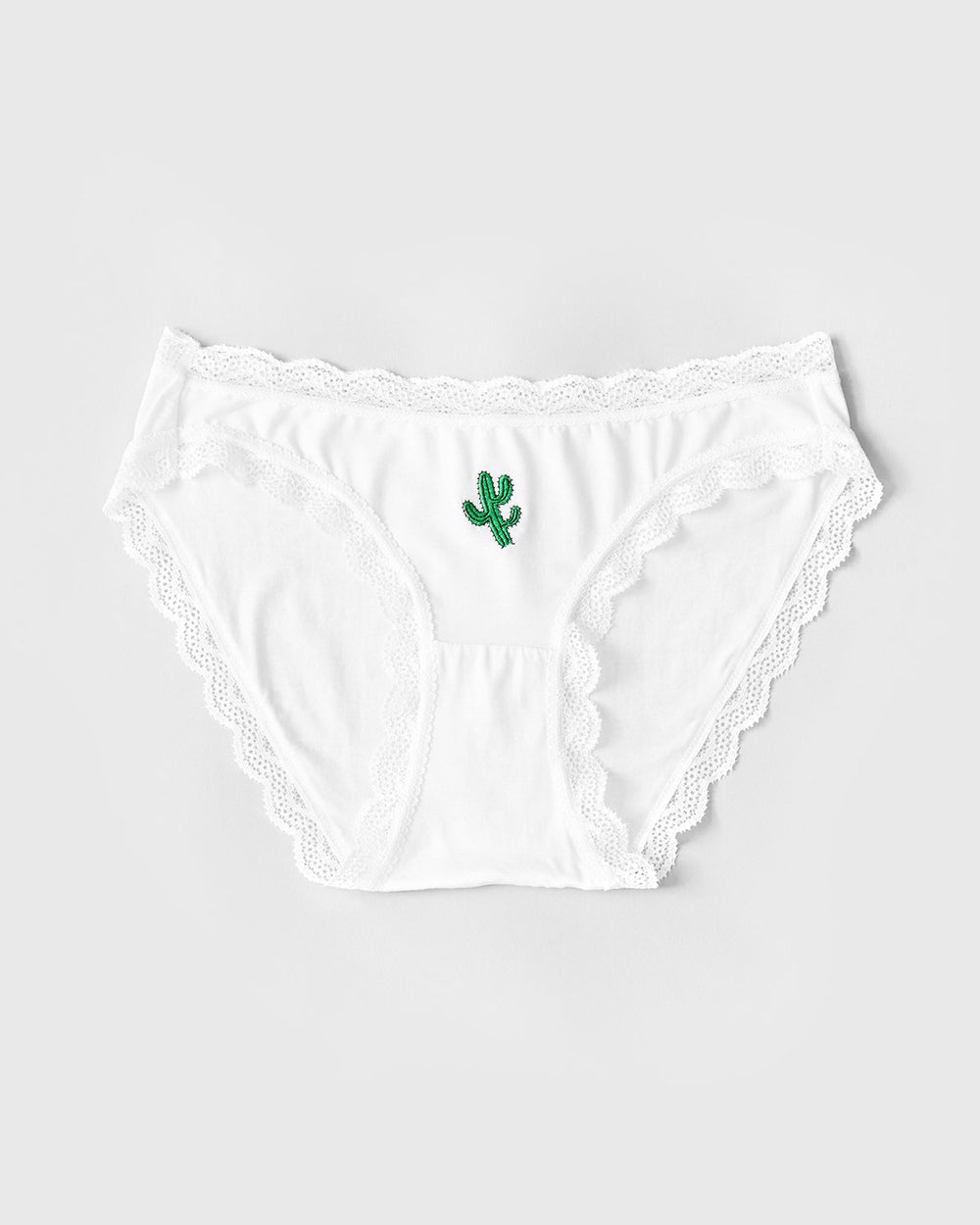 The Original Brief - Cactus Stripe & Stare